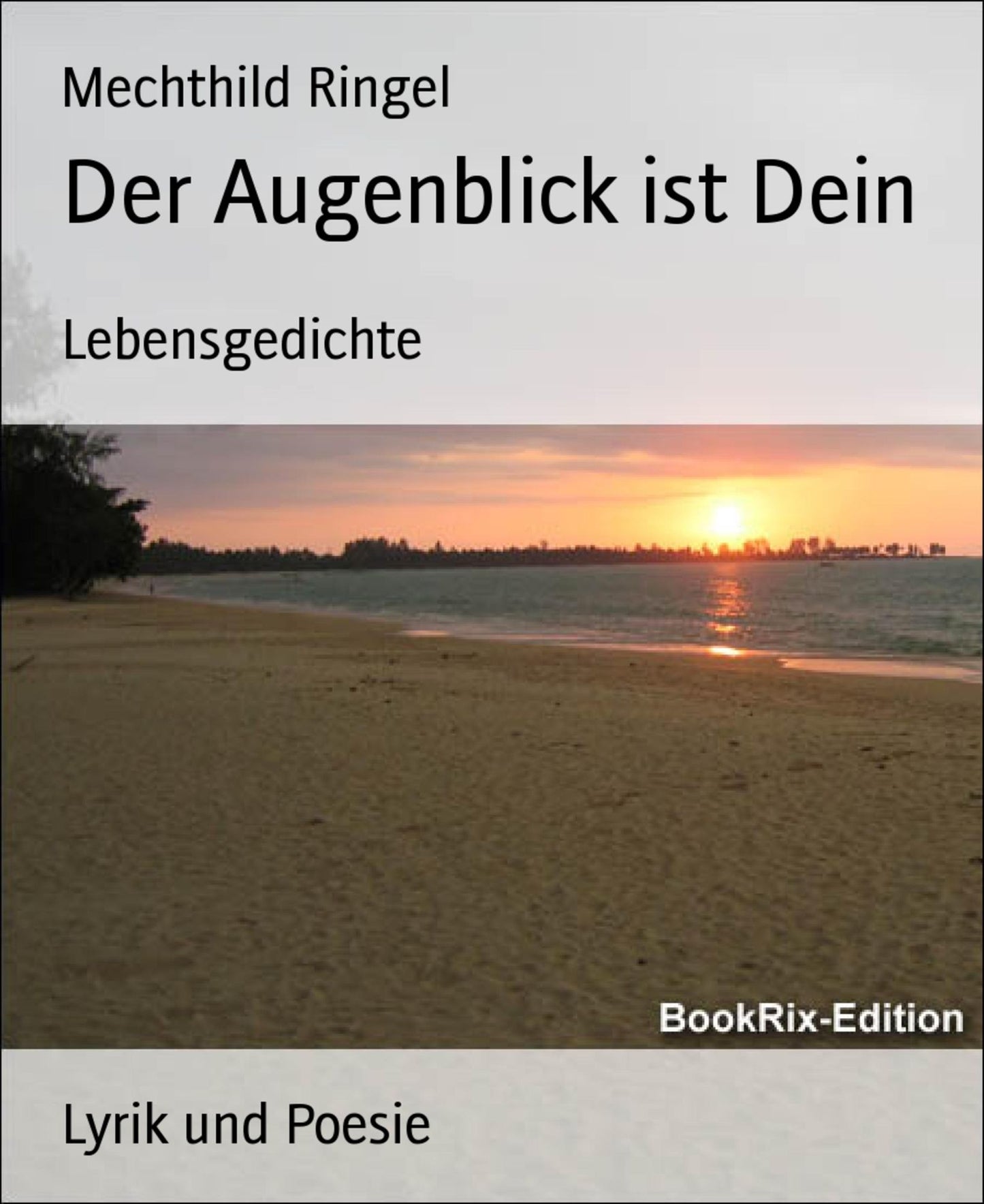 Der Augenblick ist Dein: Lebensgedichte