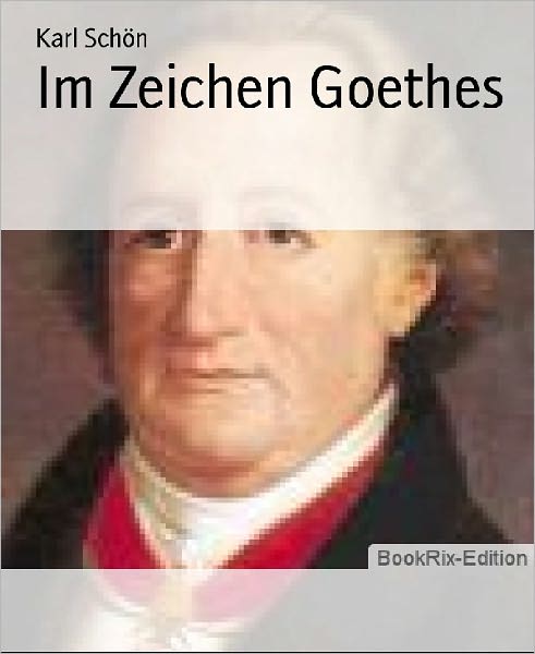 Im Zeichen Goethes: Essays um Goethe