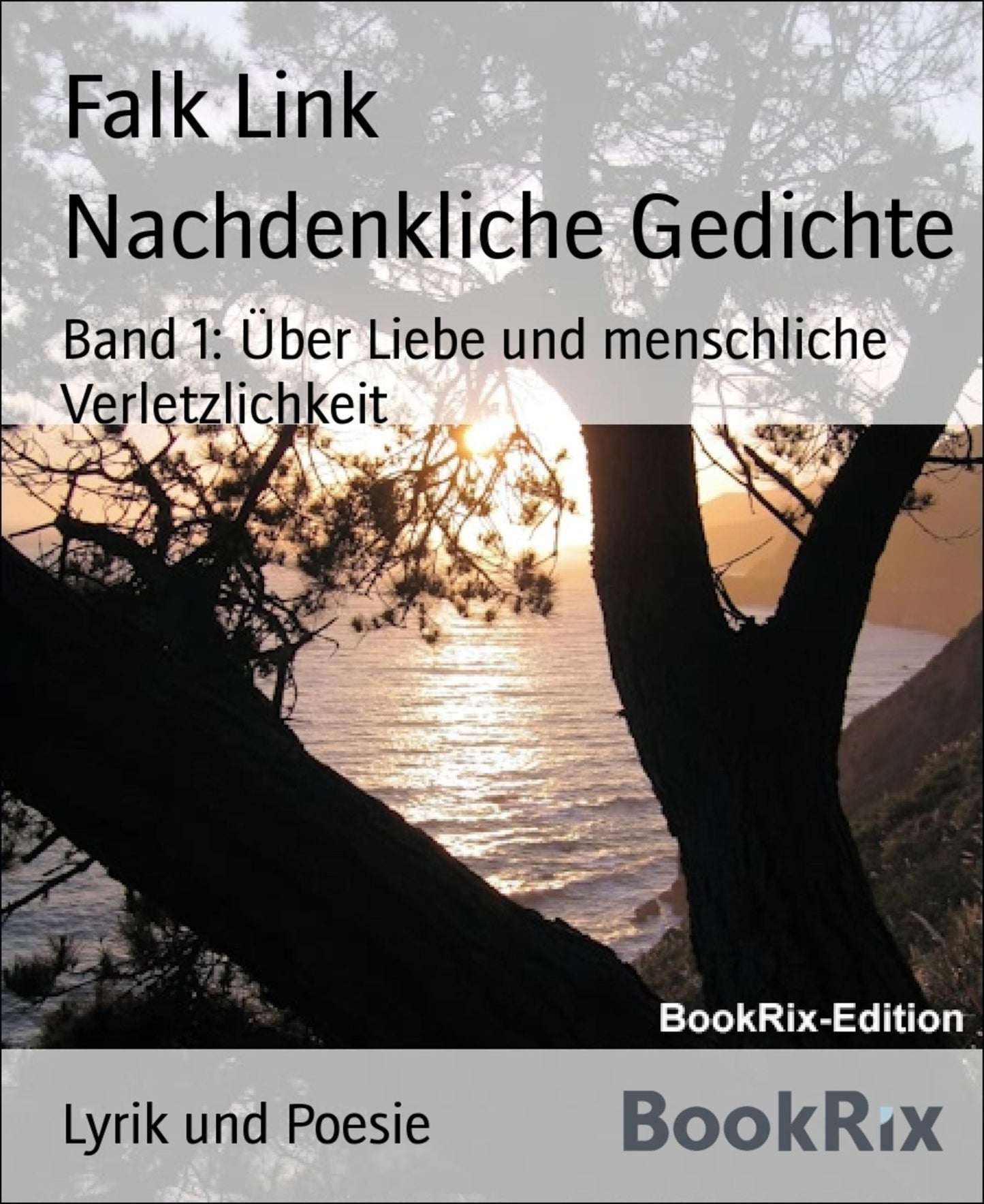 Nachdenkliche Gedichte: Band 1: Über Liebe und menschliche Verletzlichkeit