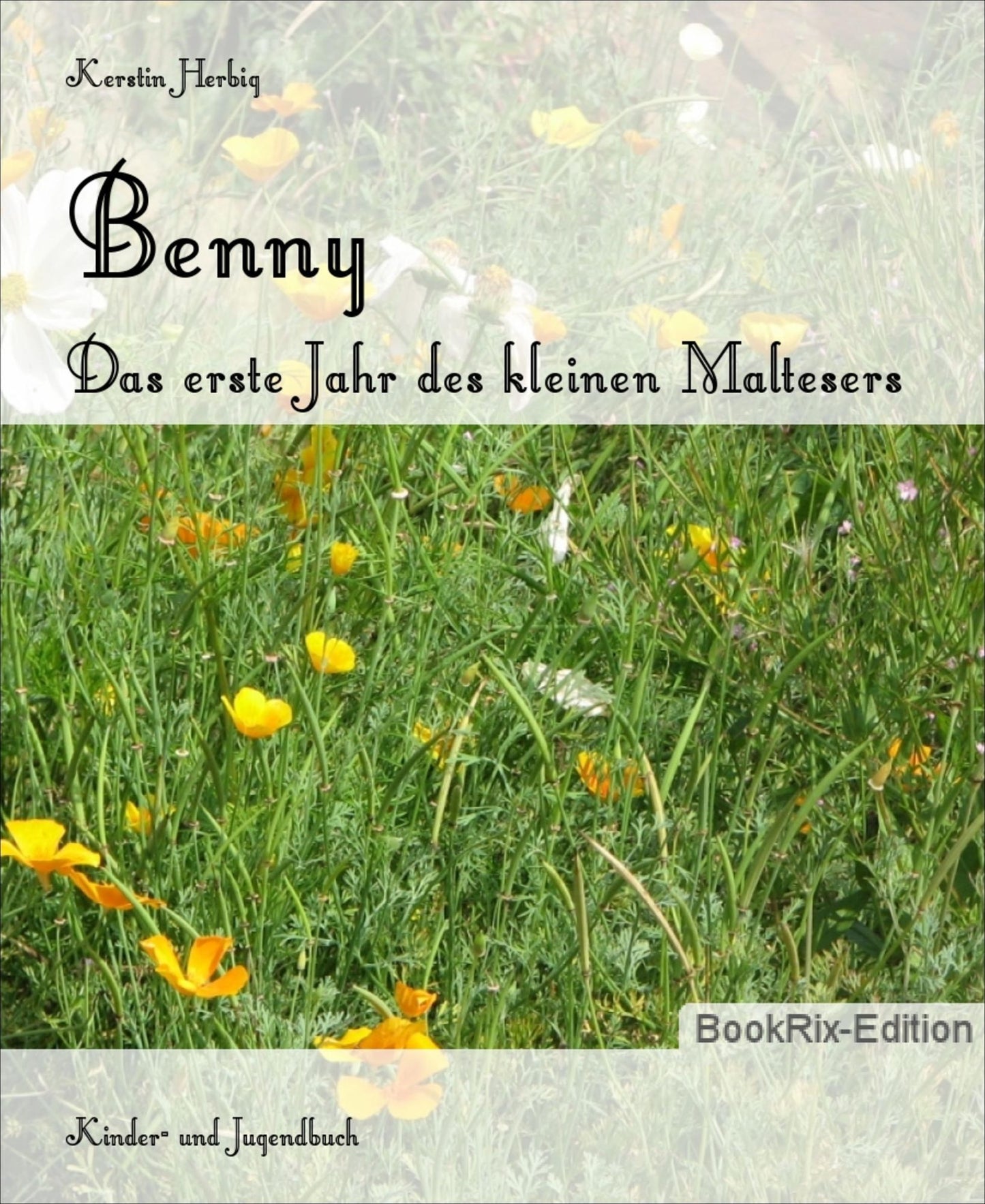 Benny: Das erste Jahr des kleinen Maltesers