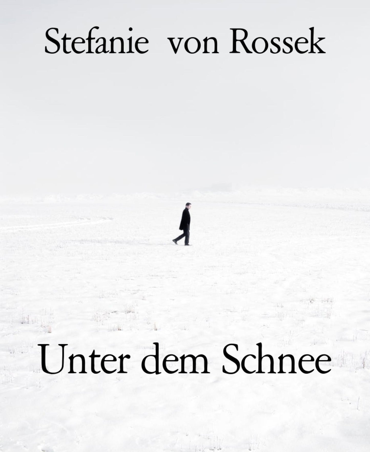 Unter dem Schnee