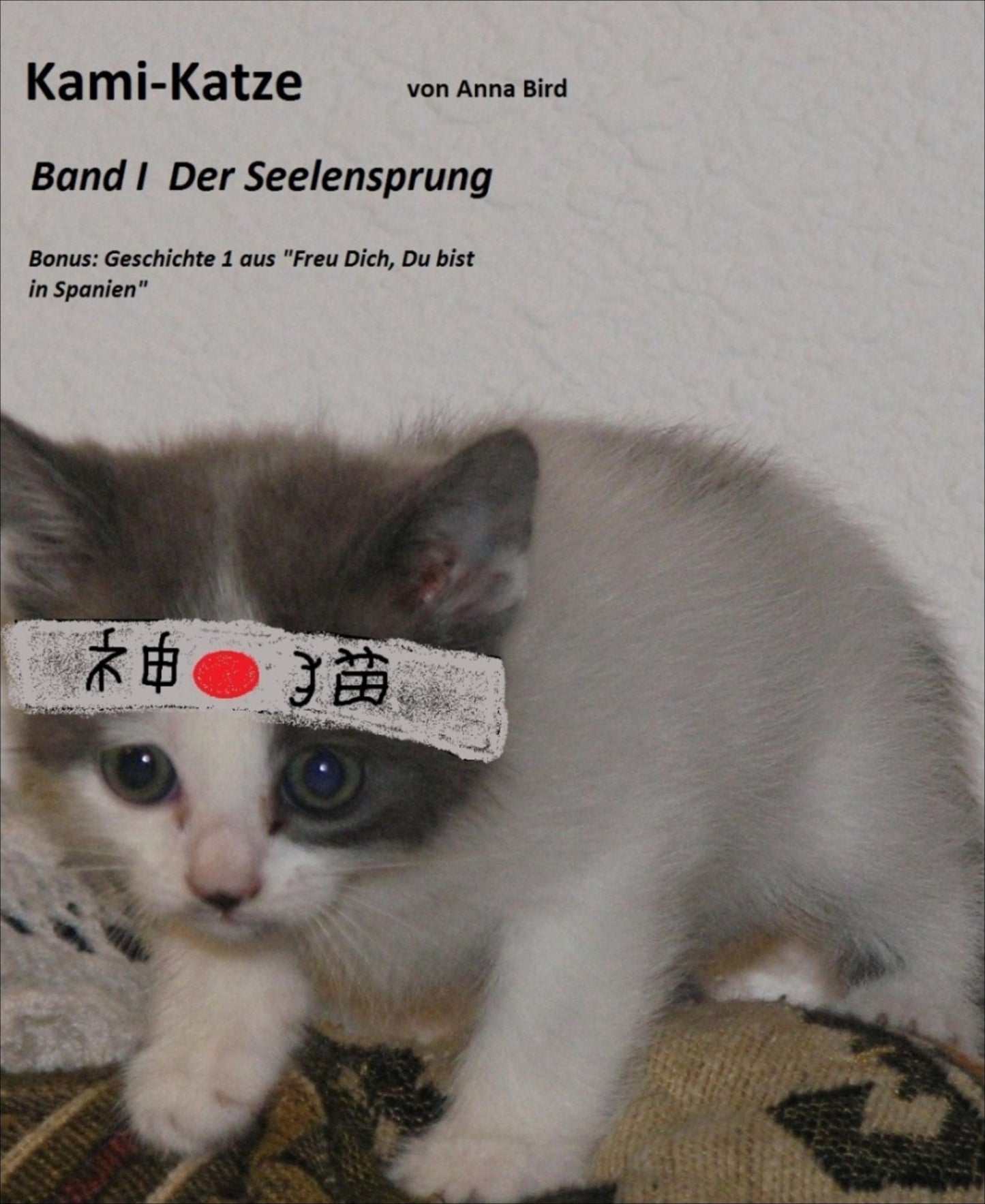 Kami Katze: Band 1 Seelensprung