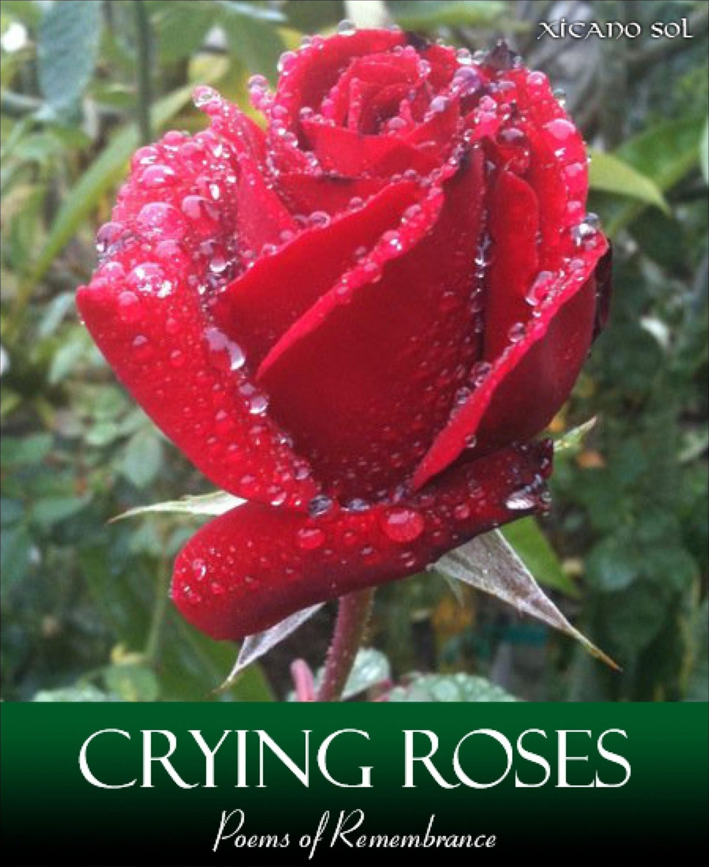 Crying Roses: Poems of Remembrance