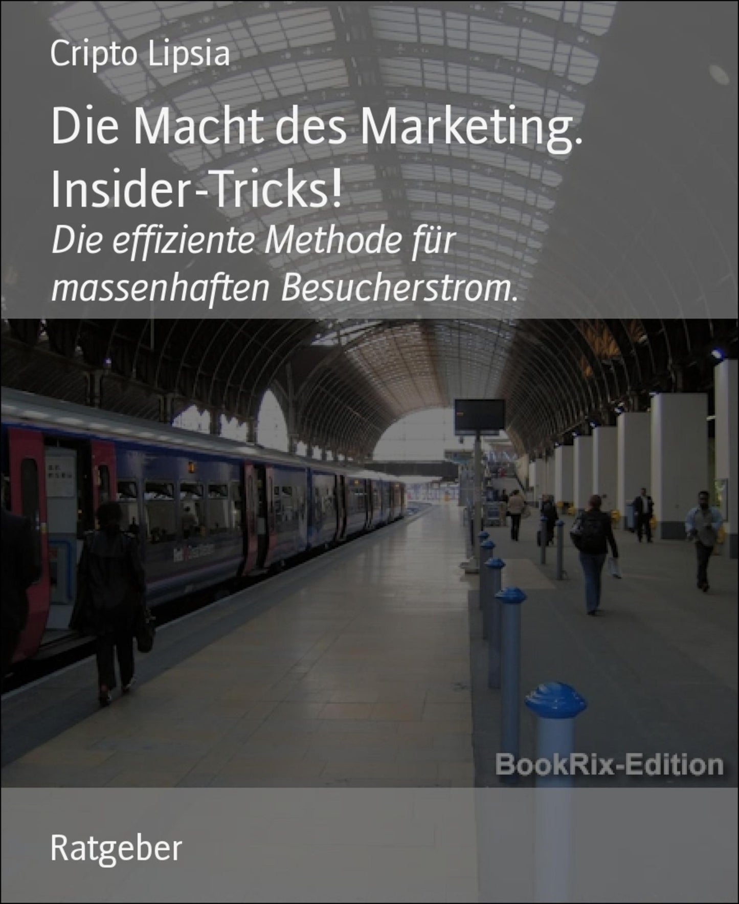 Die Macht des Marketing. Insider-Tricks!: Die effiziente Methode für massenhaften Besucherstrom.