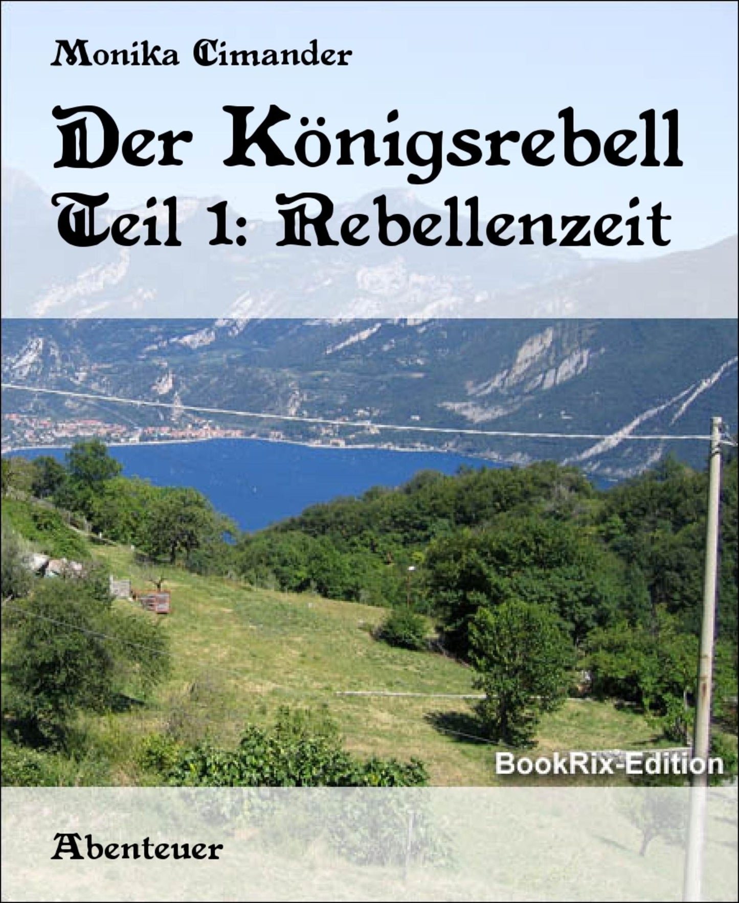 Der Königsrebell: Teil 1: Rebellenzeit