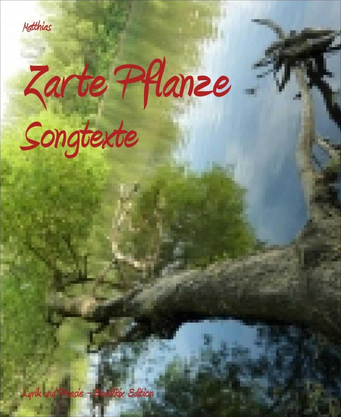 Zarte Pflanze: Songtexte