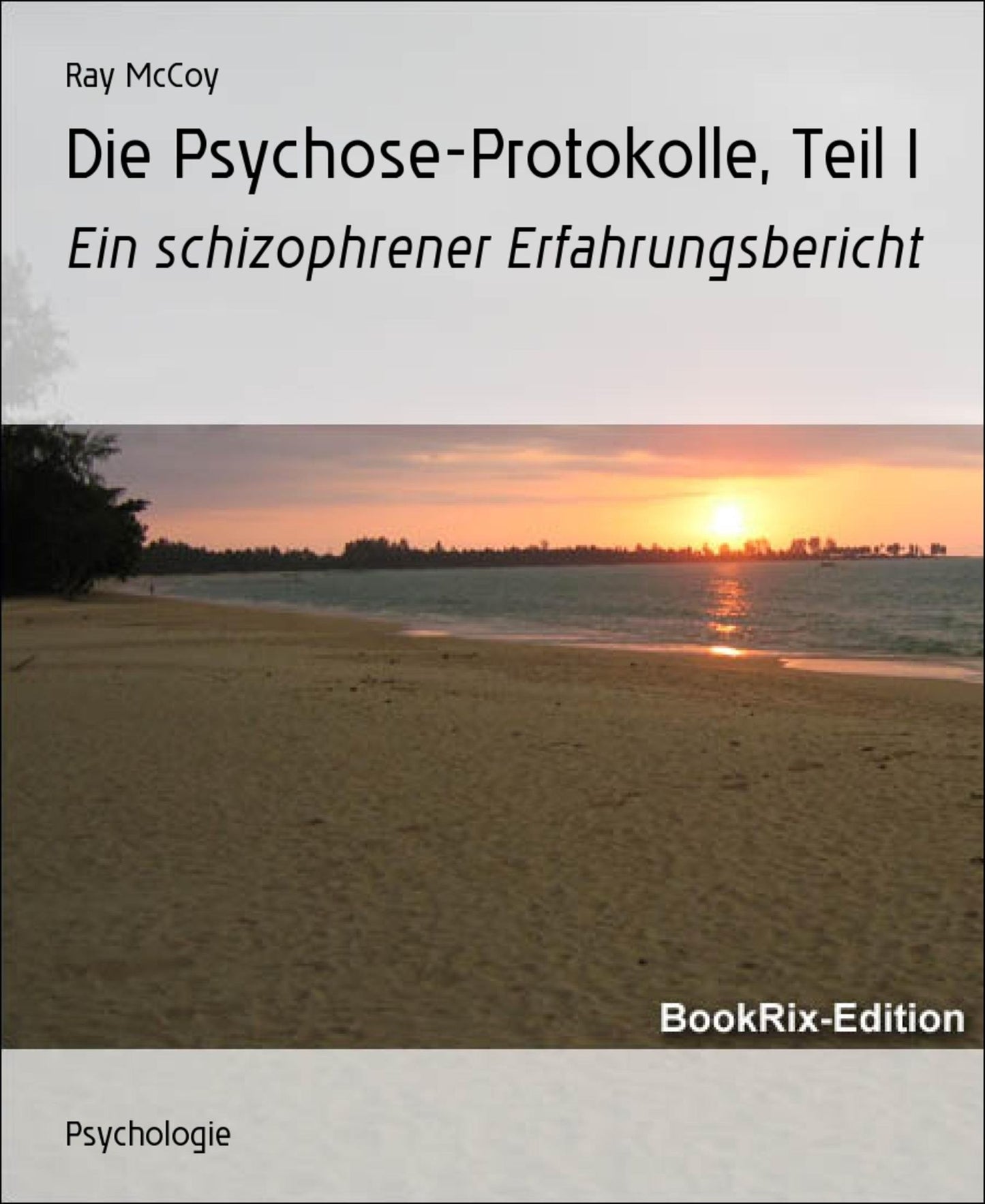 Die Psychose-Protokolle, Teil I: Ein schizophrener Erfahrungsbericht
