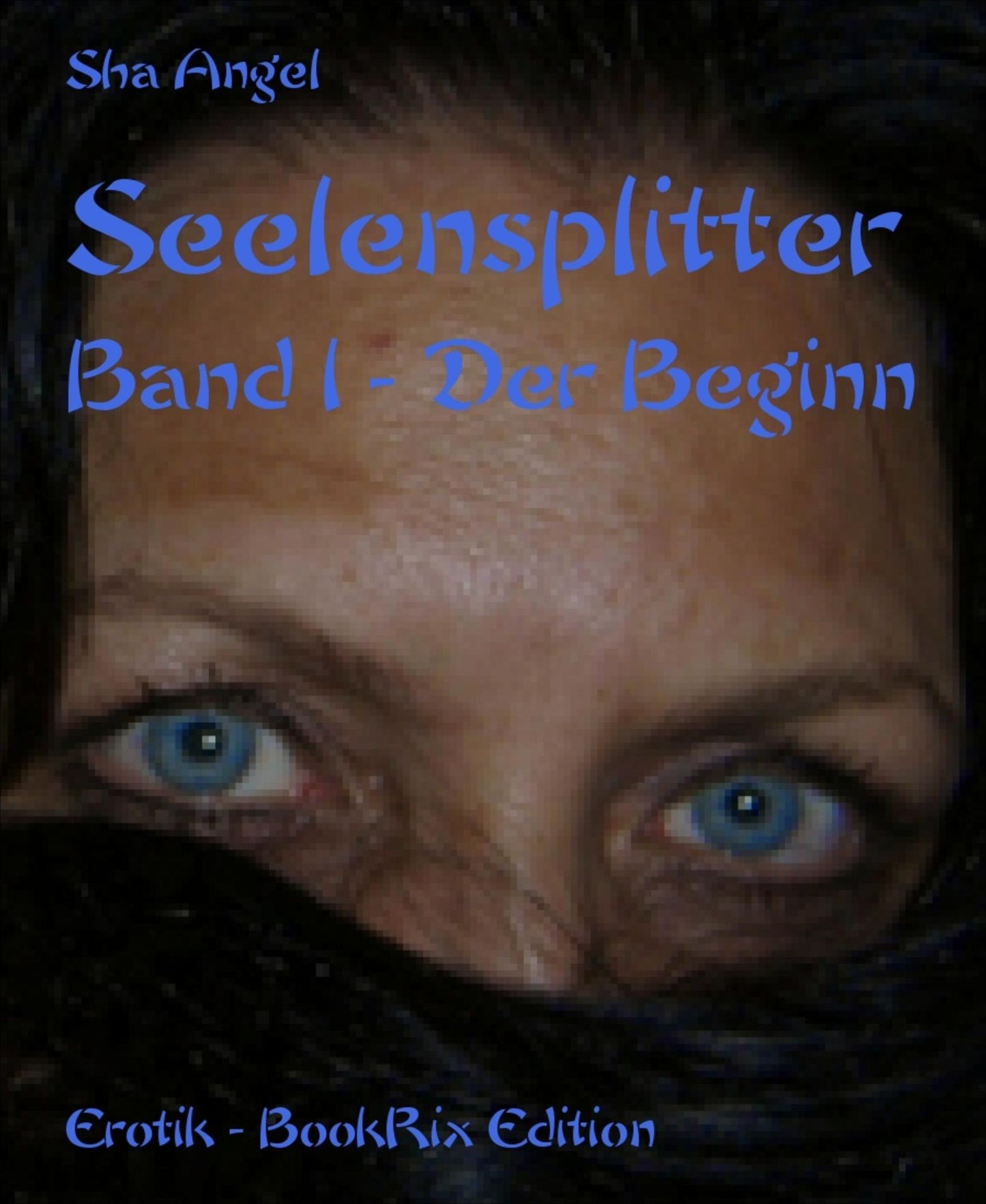 Seelensplitter: Band 1 - Der Beginn
