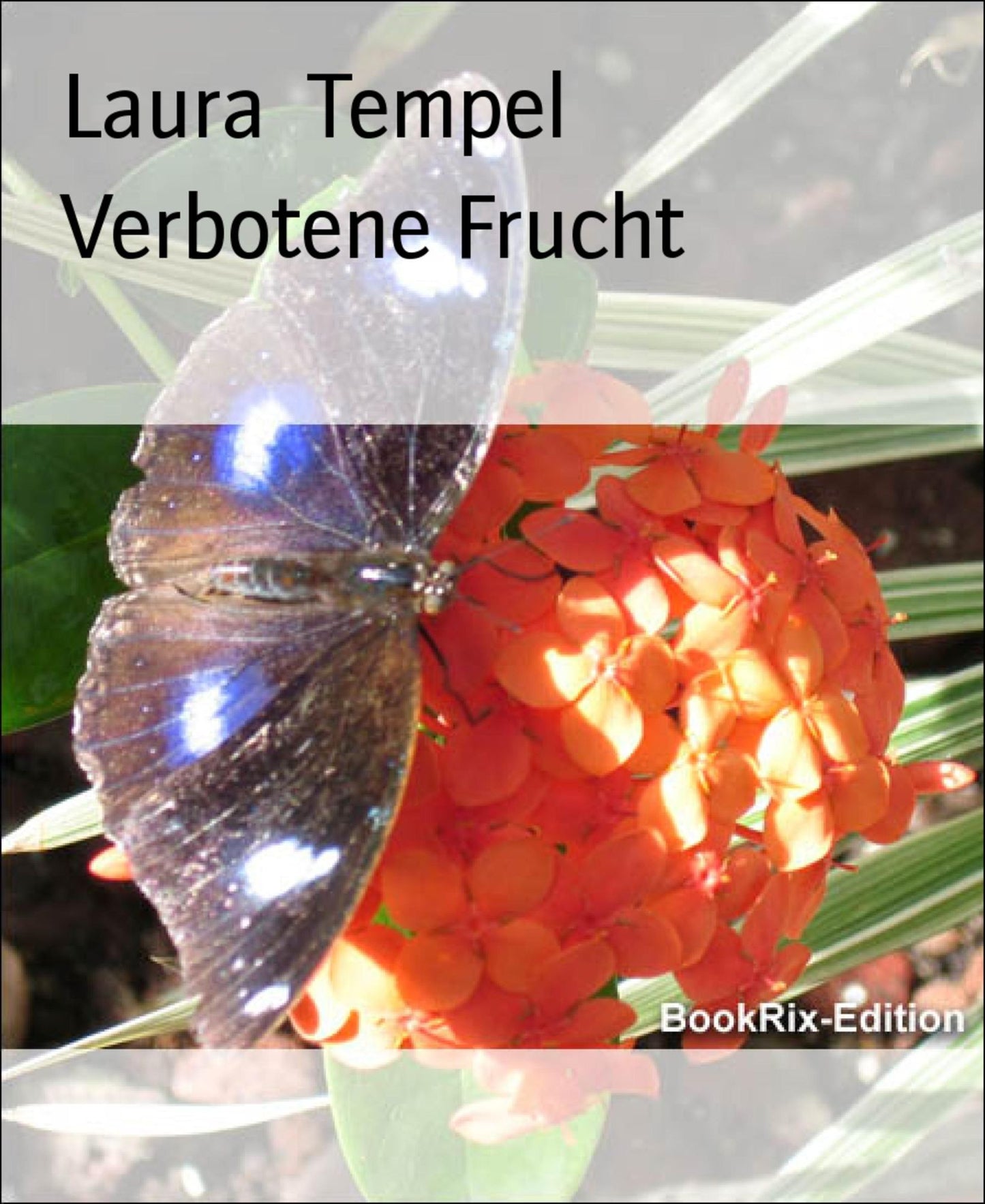 Verbotene Frucht: Frauenroman