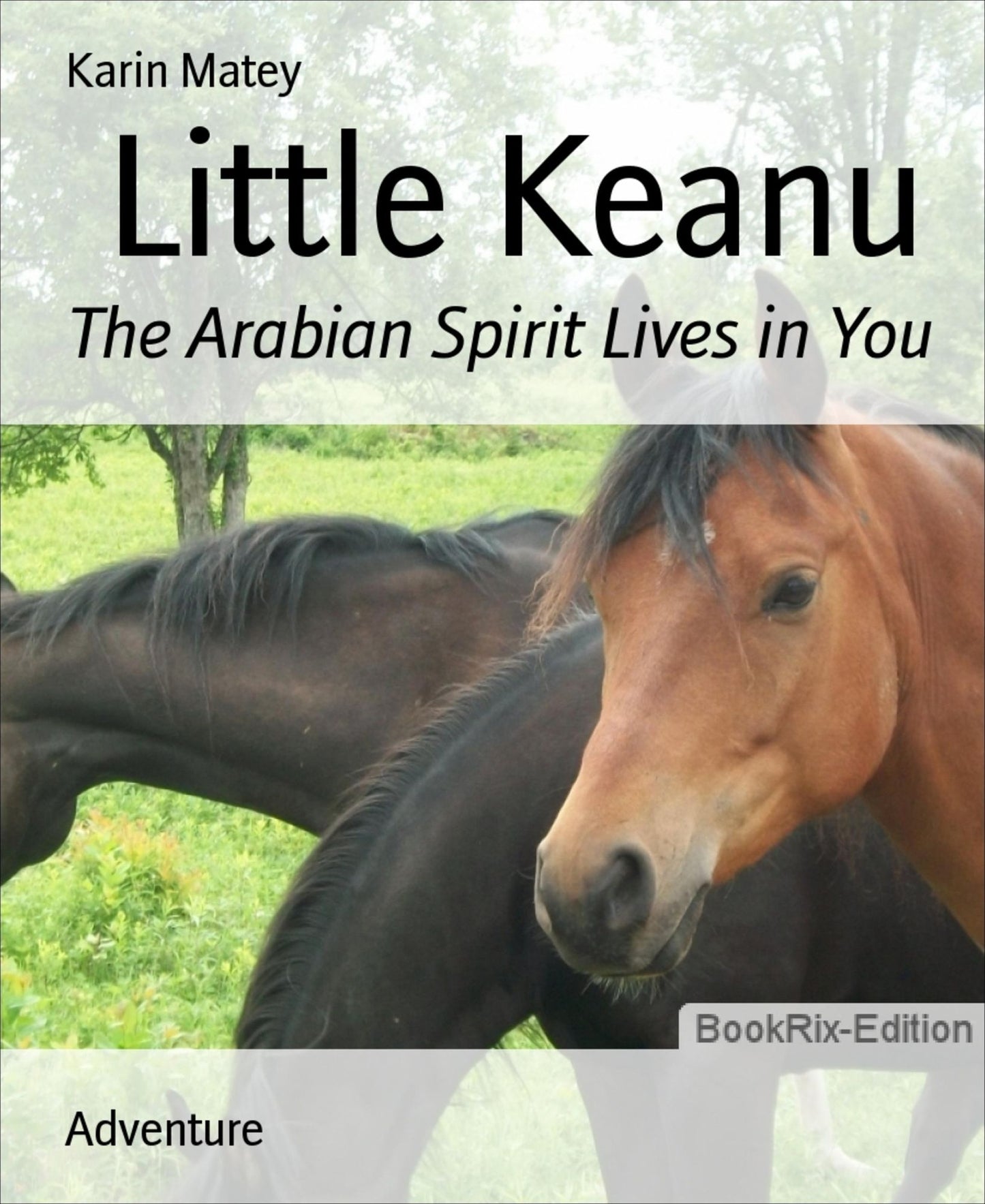 Little Keanu: The Arabian Spirit Lives in You