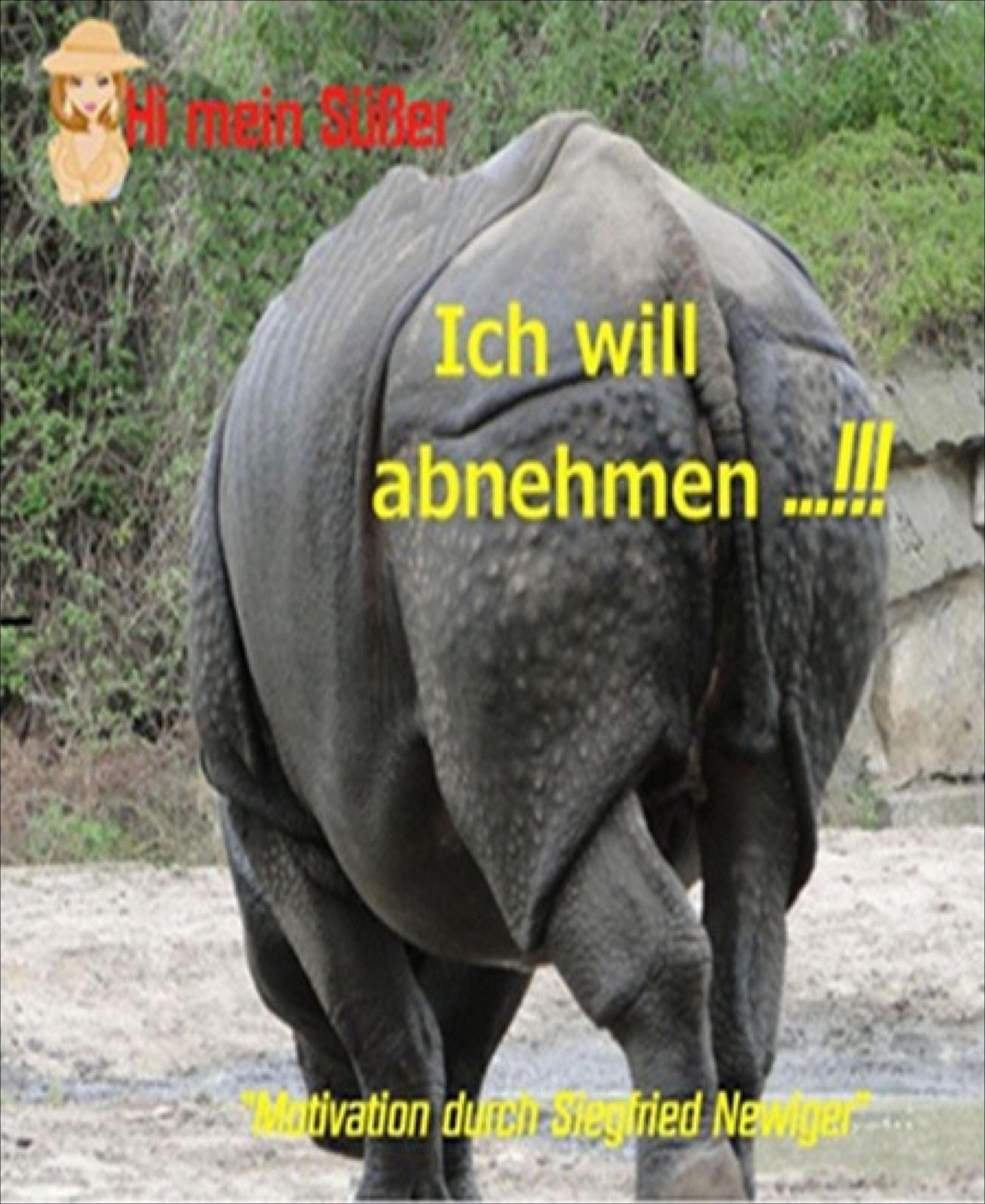 Ich will abnehmen!