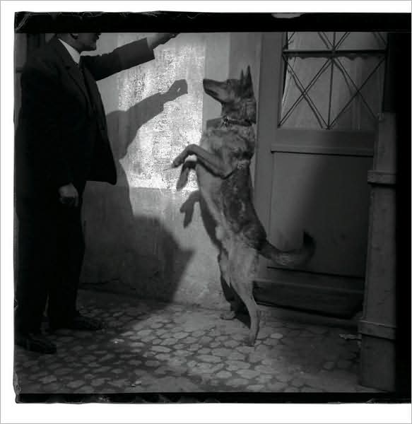 Henry Frank: Father Photographer 1890-1976
