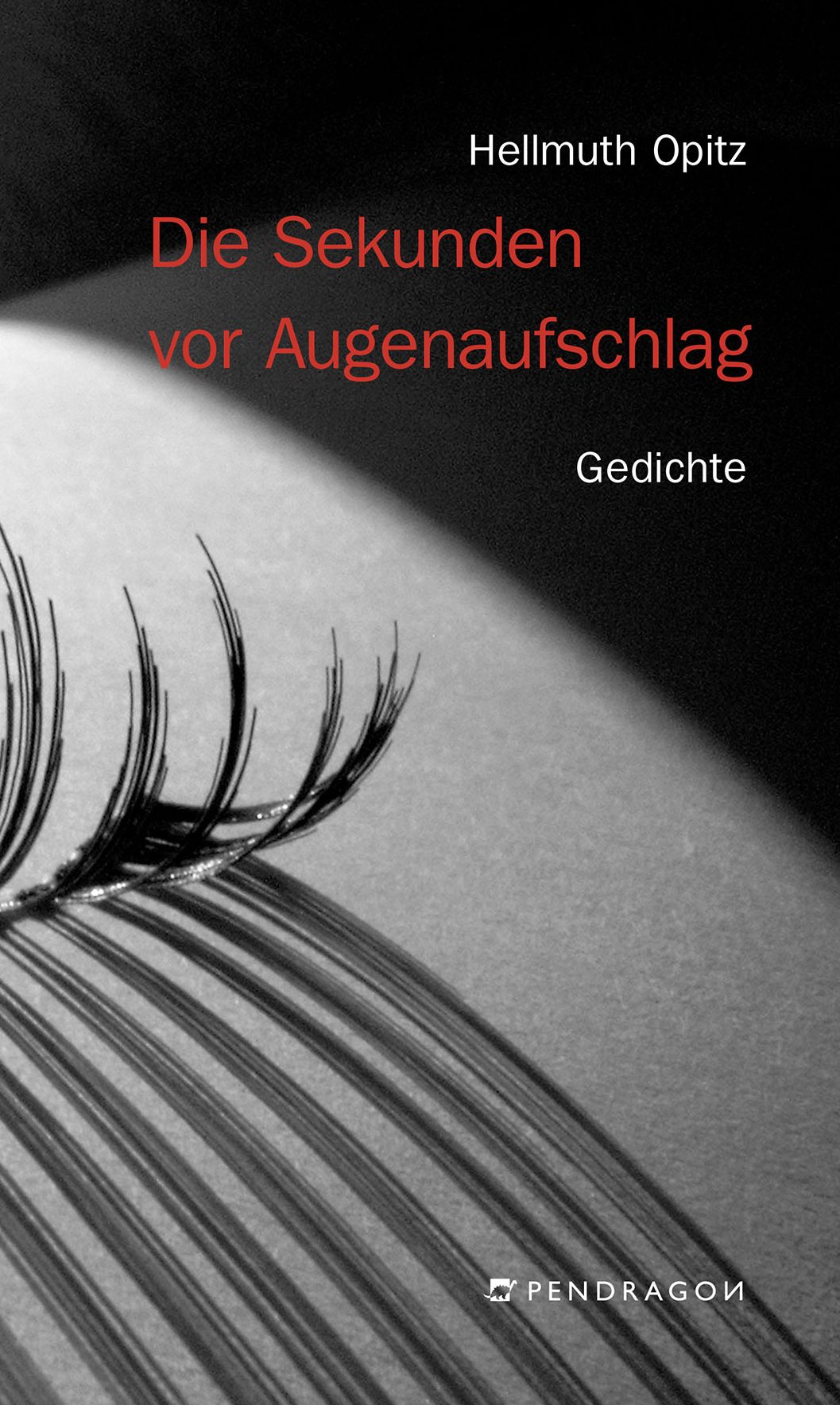 Die Sekunden vor Augenaufschlag: Gedichte