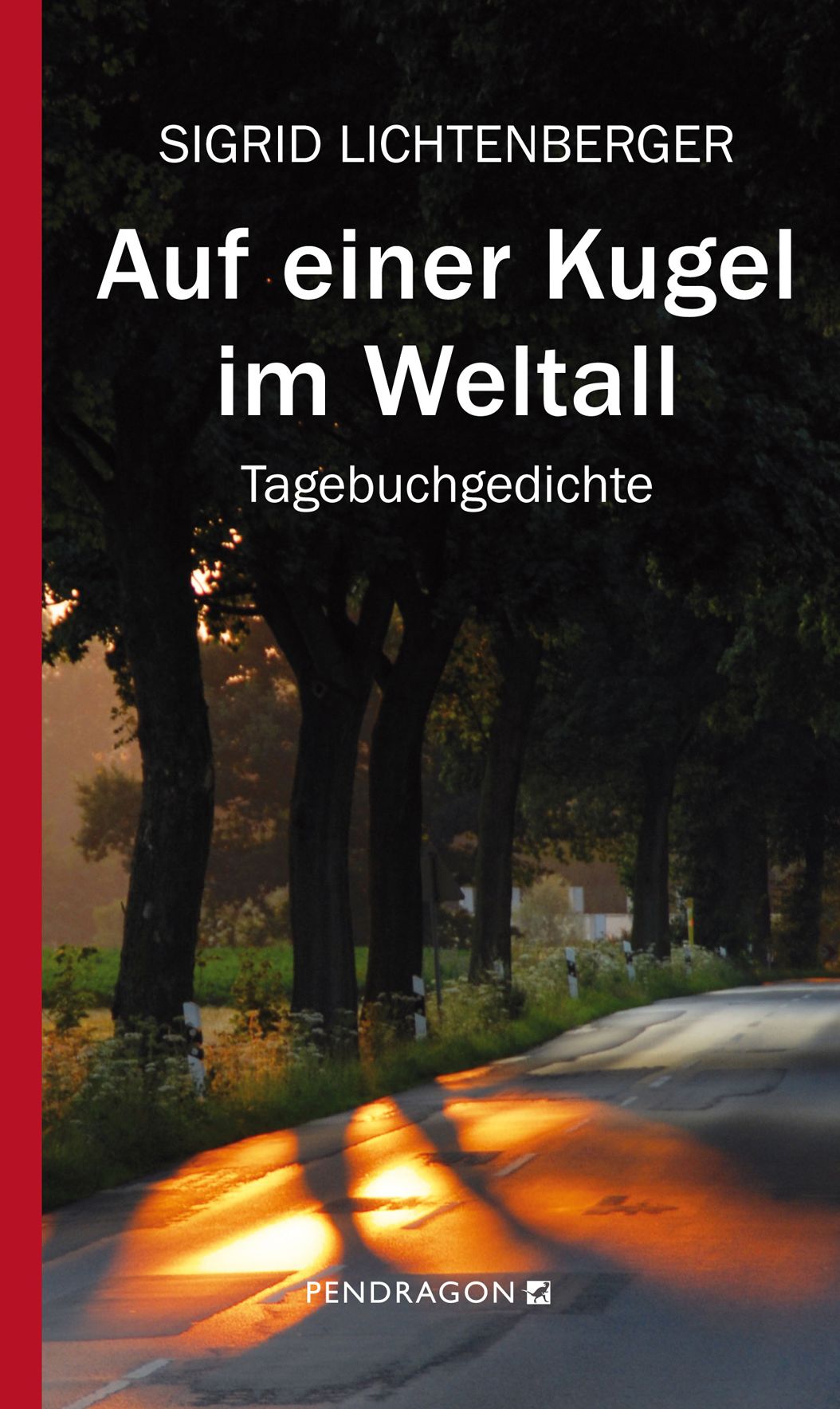 Auf einer Kugel im Weltall: Tagebuchgedichte