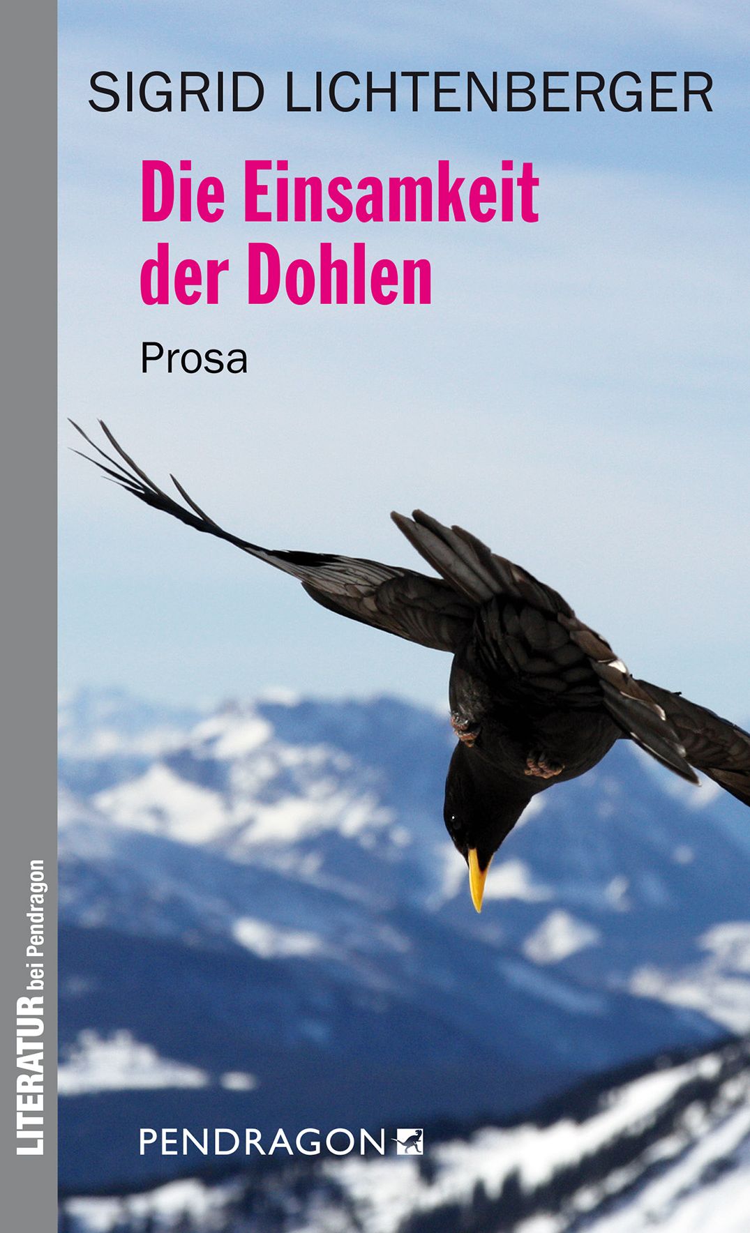Die Einsamkeit der Dohlen: Prosa