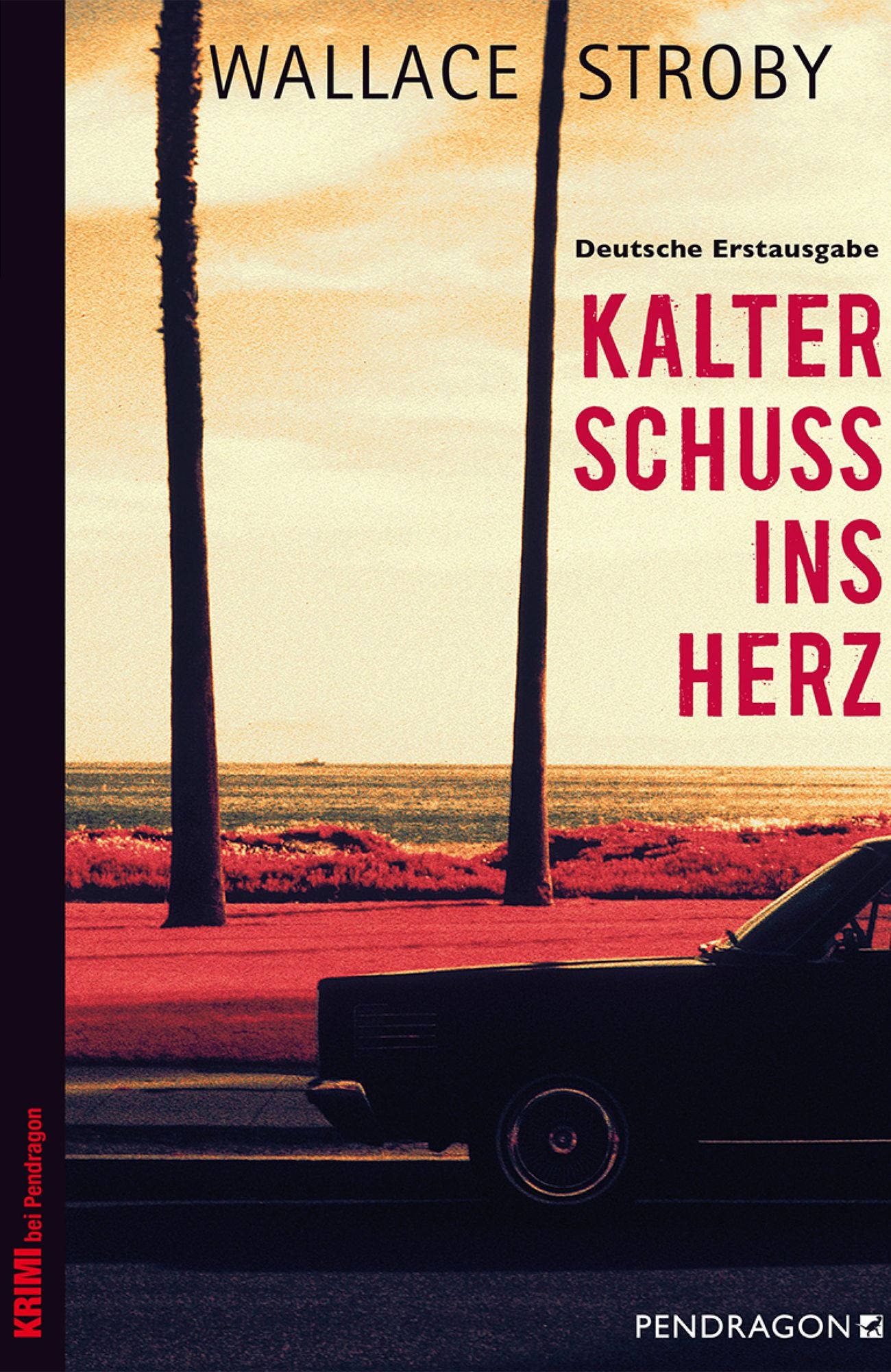 Kalter Schuss ins Herz: Ein Chrissa Stone Roman
