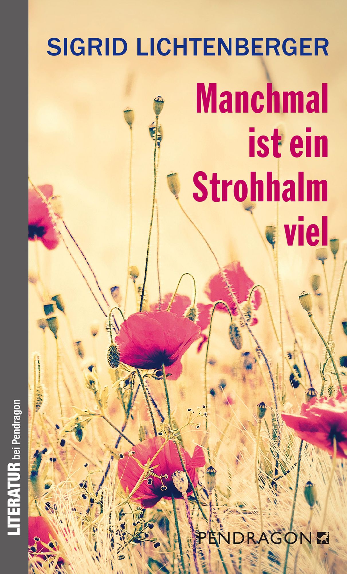 Manchmal ist ein Strohhalm viel: Gedichte