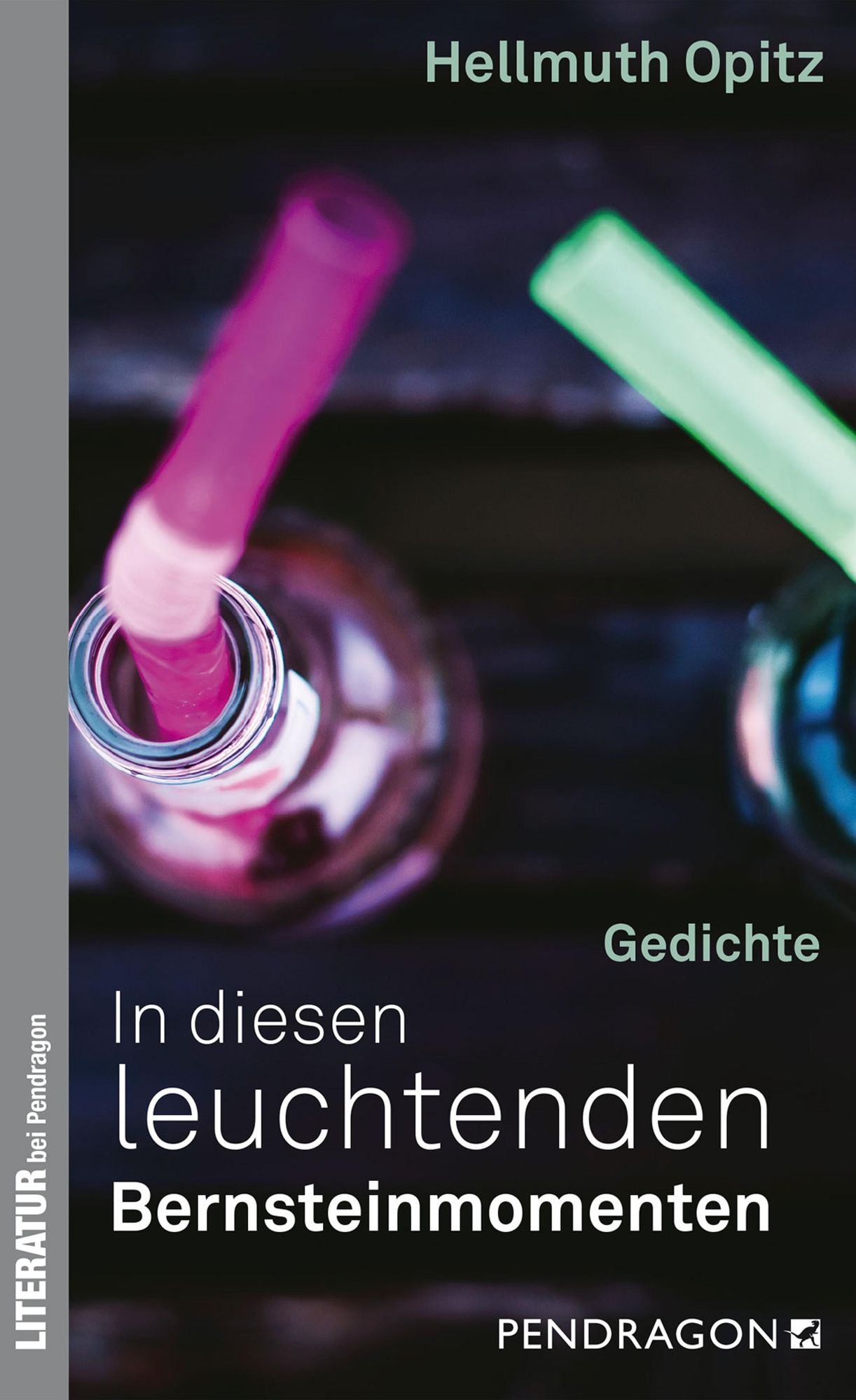 In diesen leuchtenden Bernsteinmomenten: Gedichte