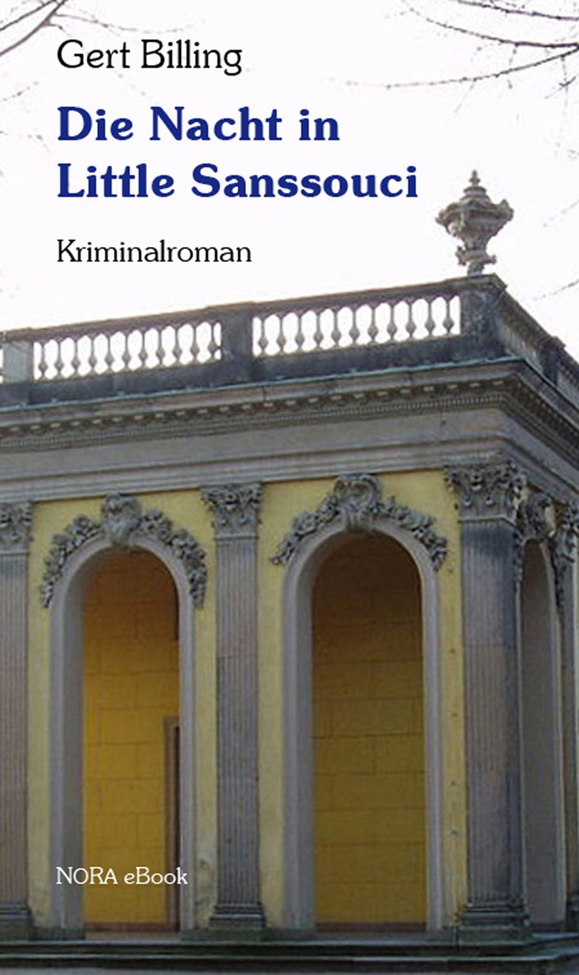 Die Nacht in Little Sanssouci: Kriminalroman