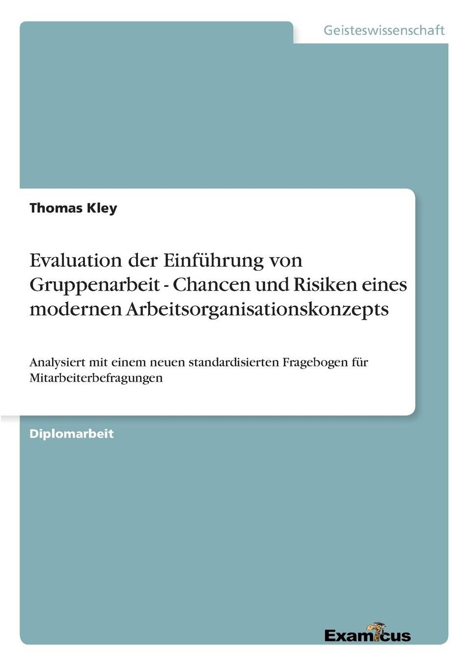 Evaluation der Einführung von Gruppenarbeit - Chancen und Risiken eines modernen Arbeitsorganisationskonzepts