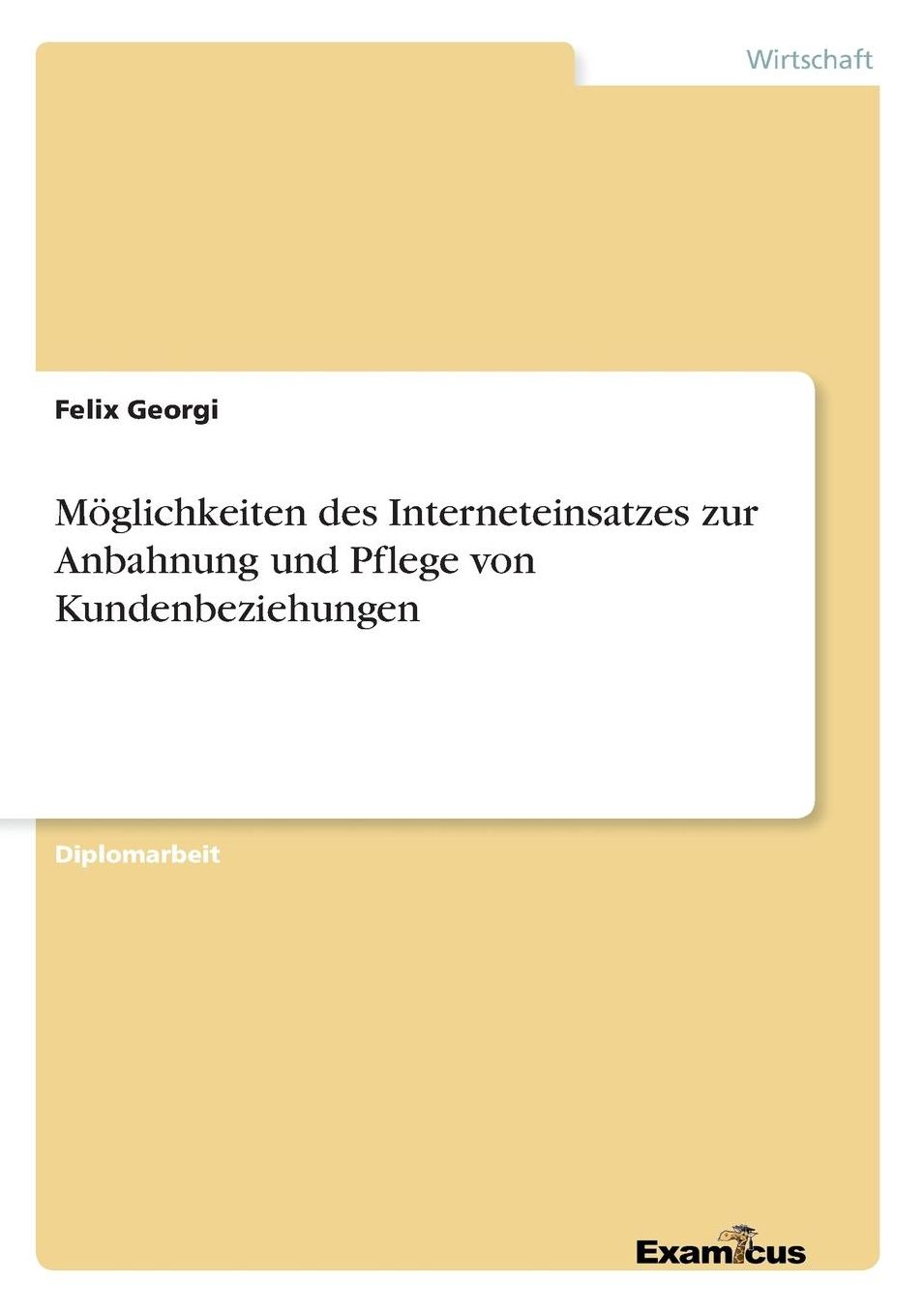 Möglichkeiten des Interneteinsatzes zur Anbahnung und Pflege von Kundenbeziehungen