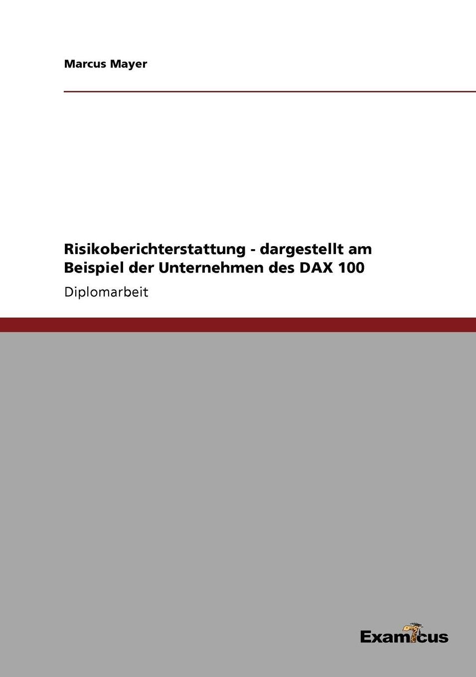 Risikoberichterstattung - dargestellt am Beispiel der Unternehmen des DAX 100