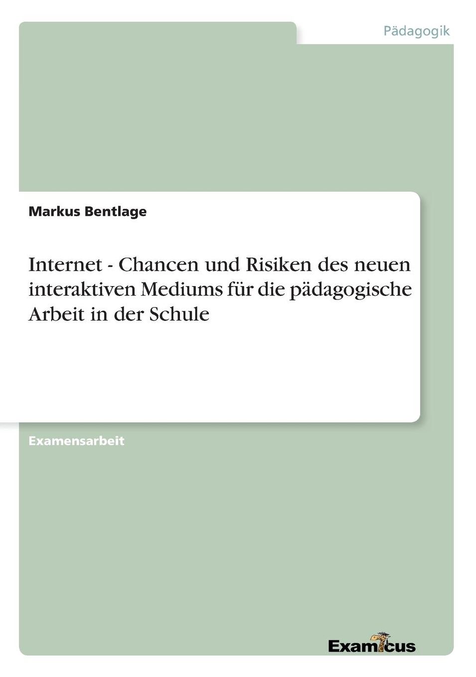 Internet - Chancen und Risiken des neuen interaktiven Mediums für die pädagogische Arbeit in der Schule