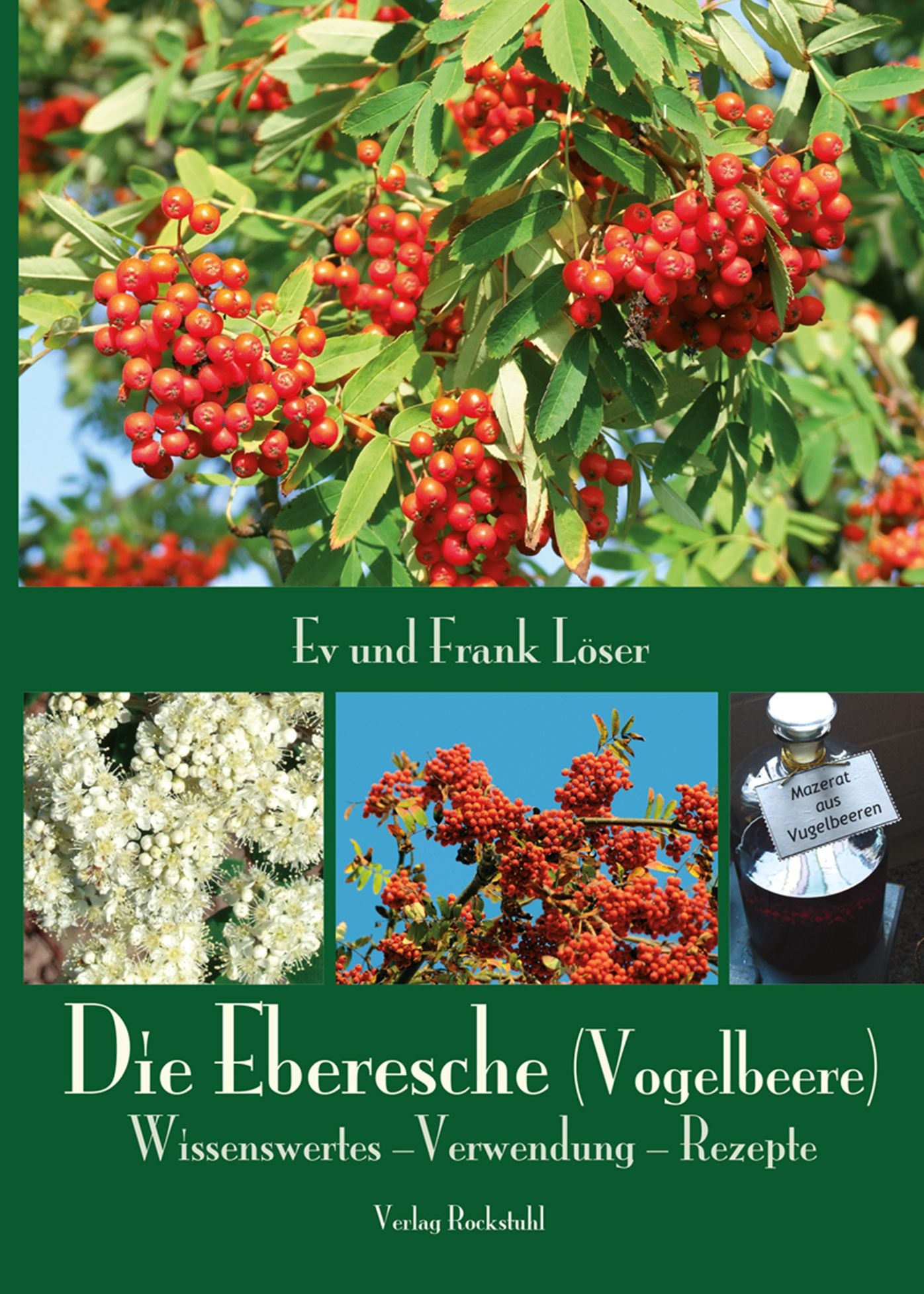 Die Eberesche (Vogelbeere): Wissenswertes -Verwendung - Rezepte