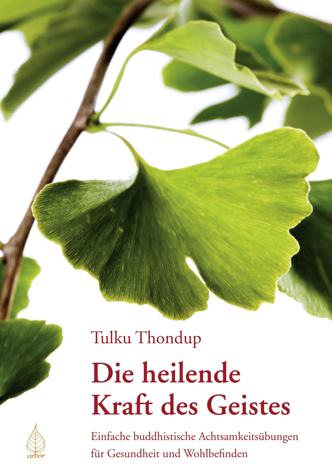 Die heilende Kraft des Geistes: Einfache buddhistische Achtsamkeitsübungen für Gesundheit und Wohlbefinden