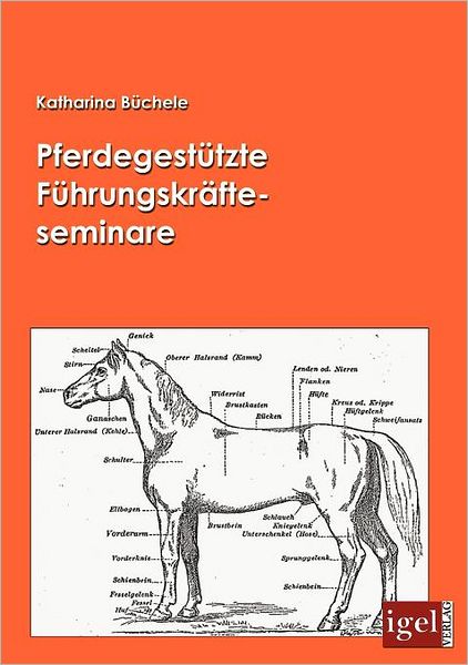 Pferdegestützte Führungskräfteseminare