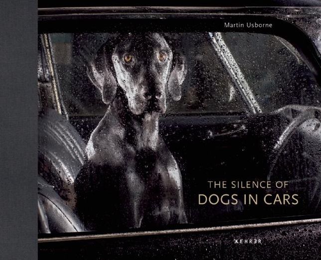 The Silence of Dogs in Cars