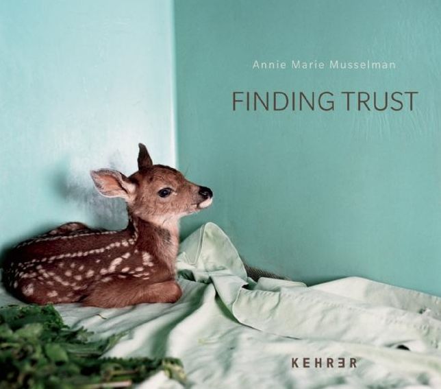 Finding Trust