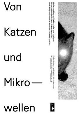 Of Cats and Microwaves: Reflections on Architectural Interventions