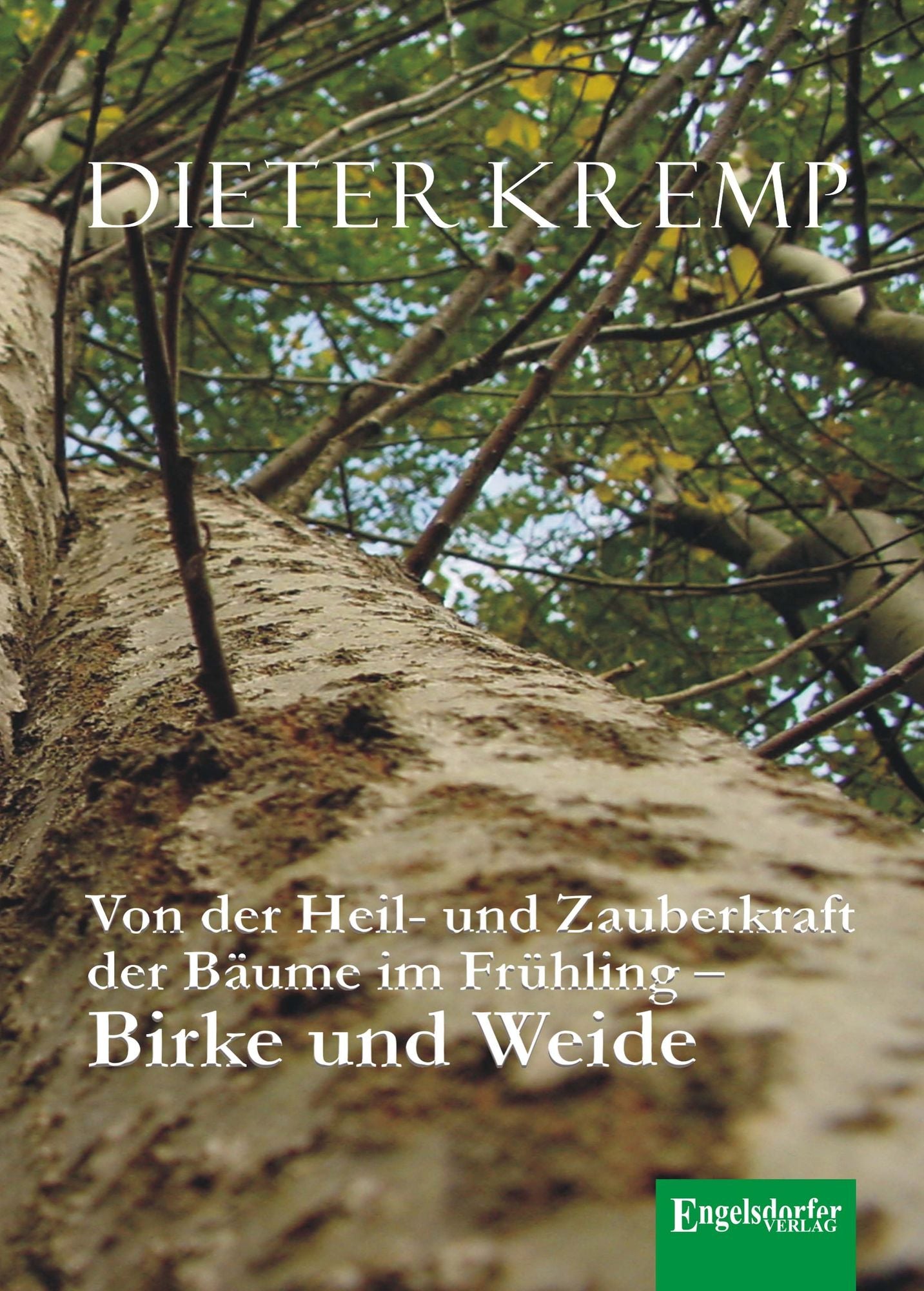 Von der Heil- und Zauberkraft der Bäume im Frühling - Birke und Weide. Birkensaft als Frühjahrskur und Aspirin in der Weidenrinde