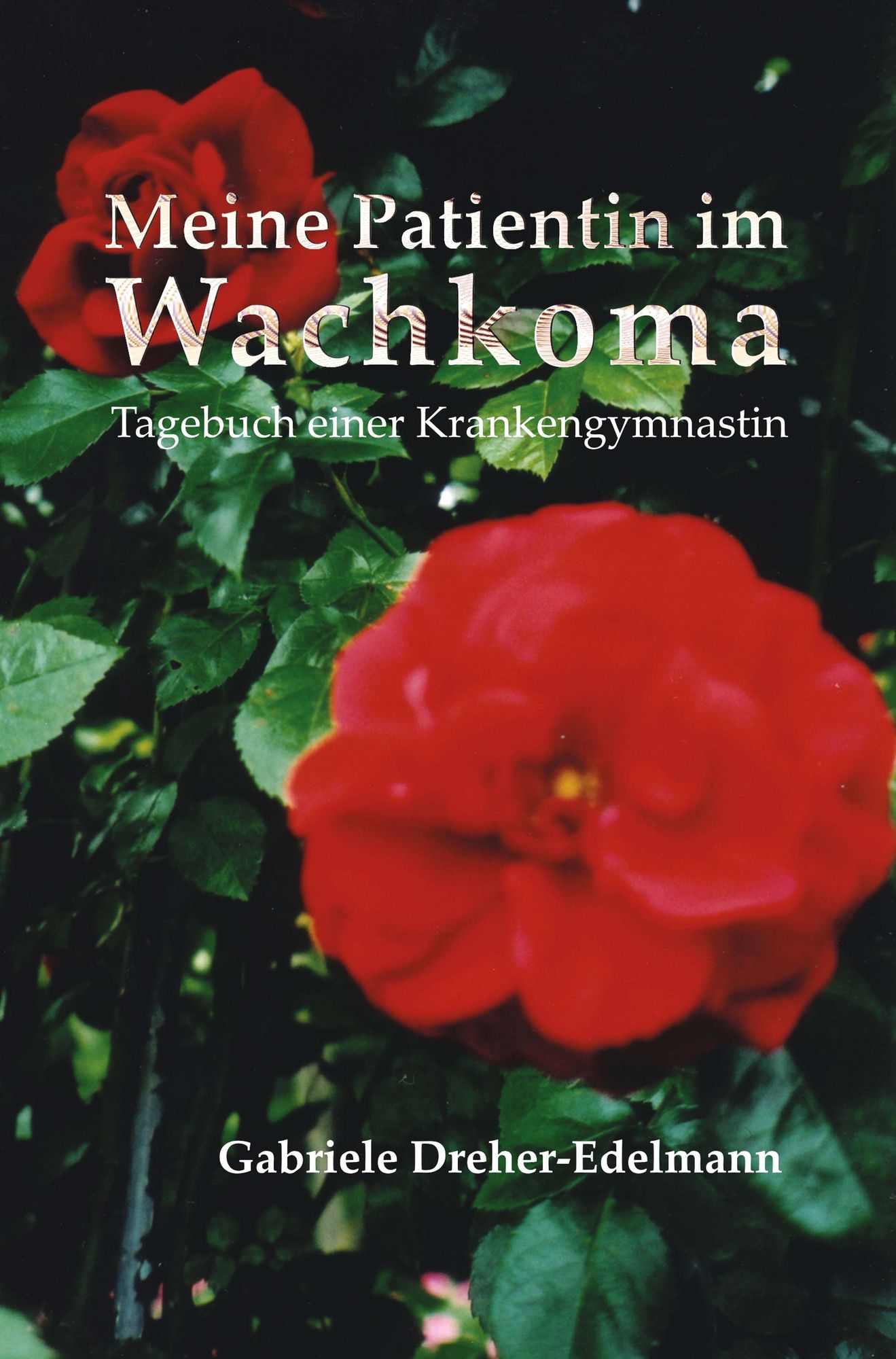 Meine Patientin im Wachkoma - Tagebuch einer Krankengymnastin