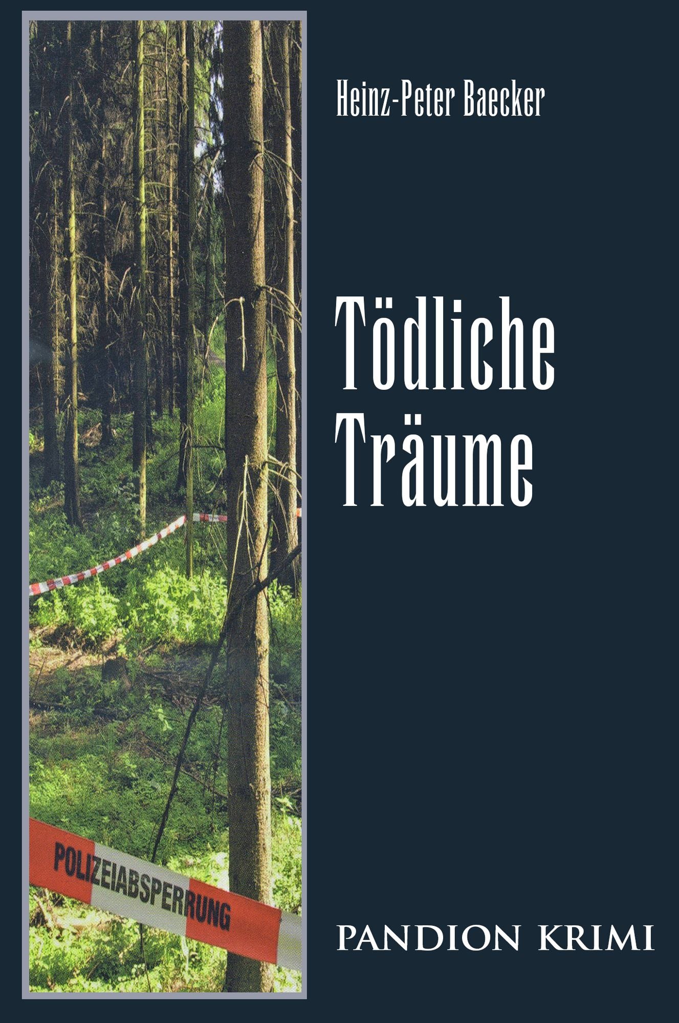 Tödliche Träume: Hunsrück-Krimi-Reihe Band VII