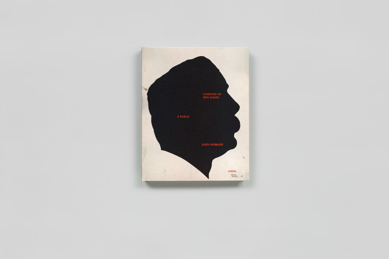 Looking up Ben James: A Fable