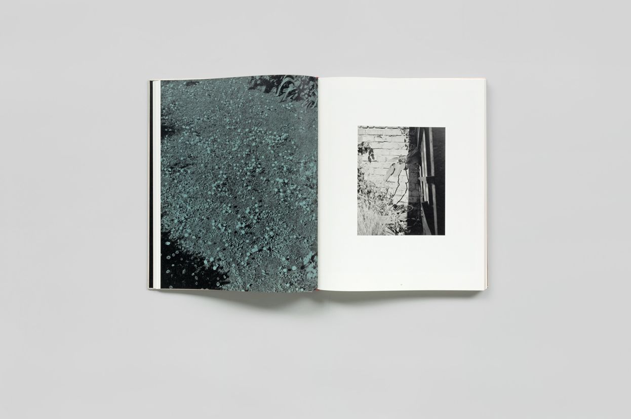 Looking up Ben James: A Fable