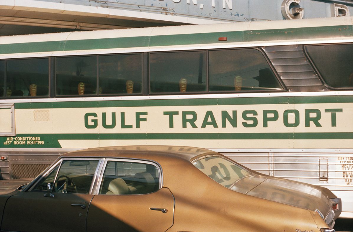 William Eggleston: The Democratic Forest