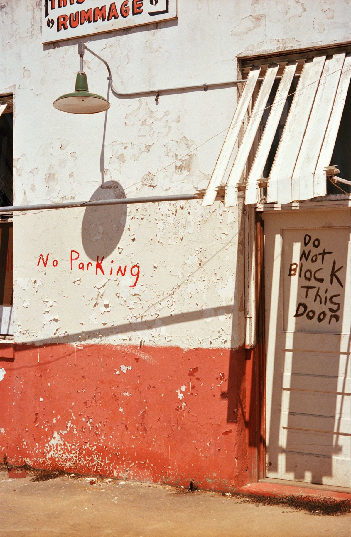 William Eggleston: The Democratic Forest