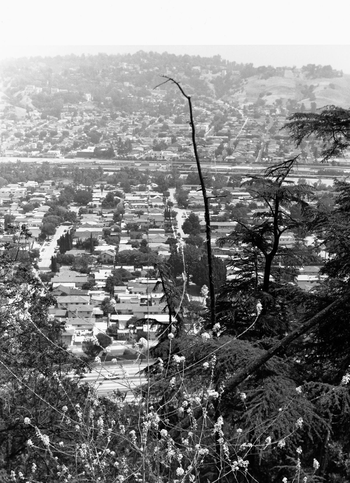 Bruce Davidson: Nature of Los Angeles 2008-2013