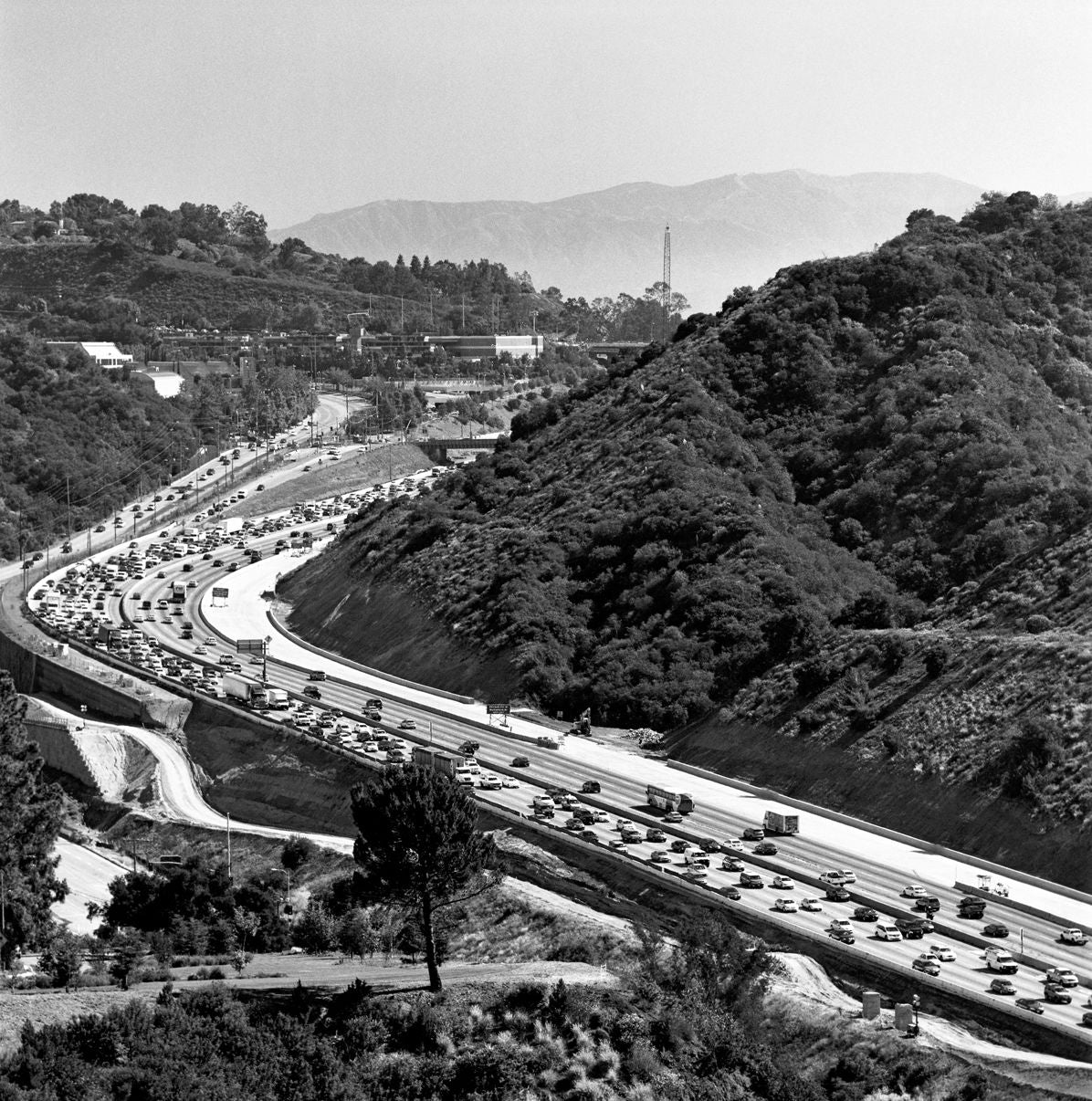 Bruce Davidson: Nature of Los Angeles 2008-2013