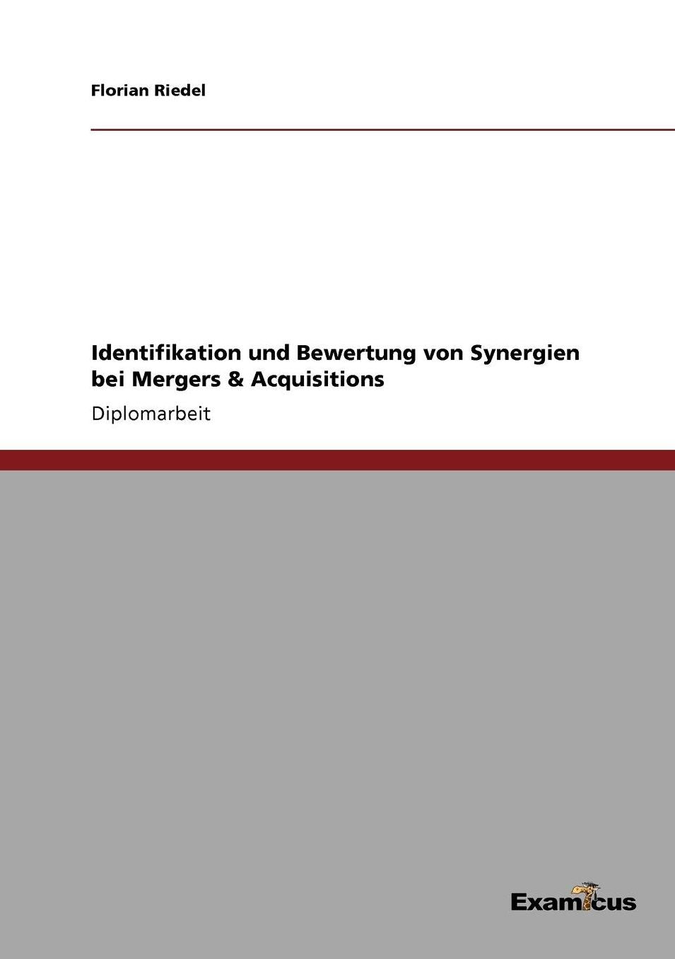 Identifikation und Bewertung von Synergien bei Mergers & Acquisitions