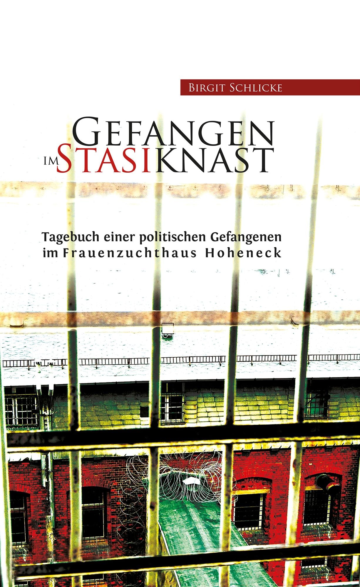 Gefangen im Stasiknast: Tagebuch einer politischen Gefangenen im Frauenzuchthaus Hoheneck