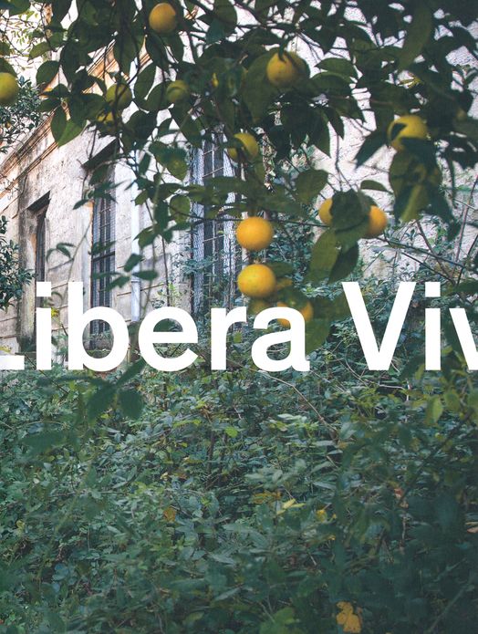 Elisabeth Hölzl: Libera Viva