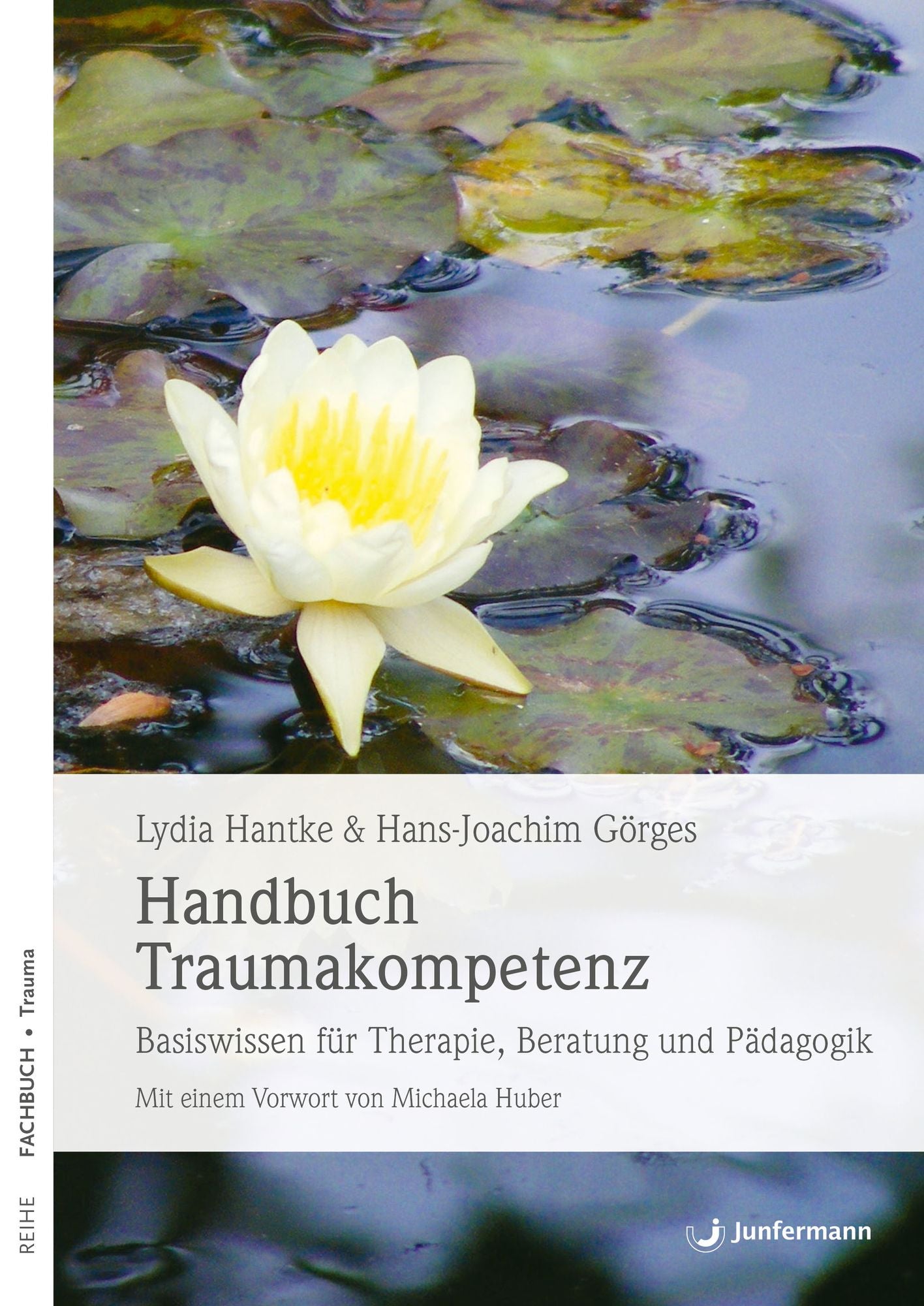 Handbuch Traumakompetenz: Basiswissen für Therapie, Beratung und Pädagogik