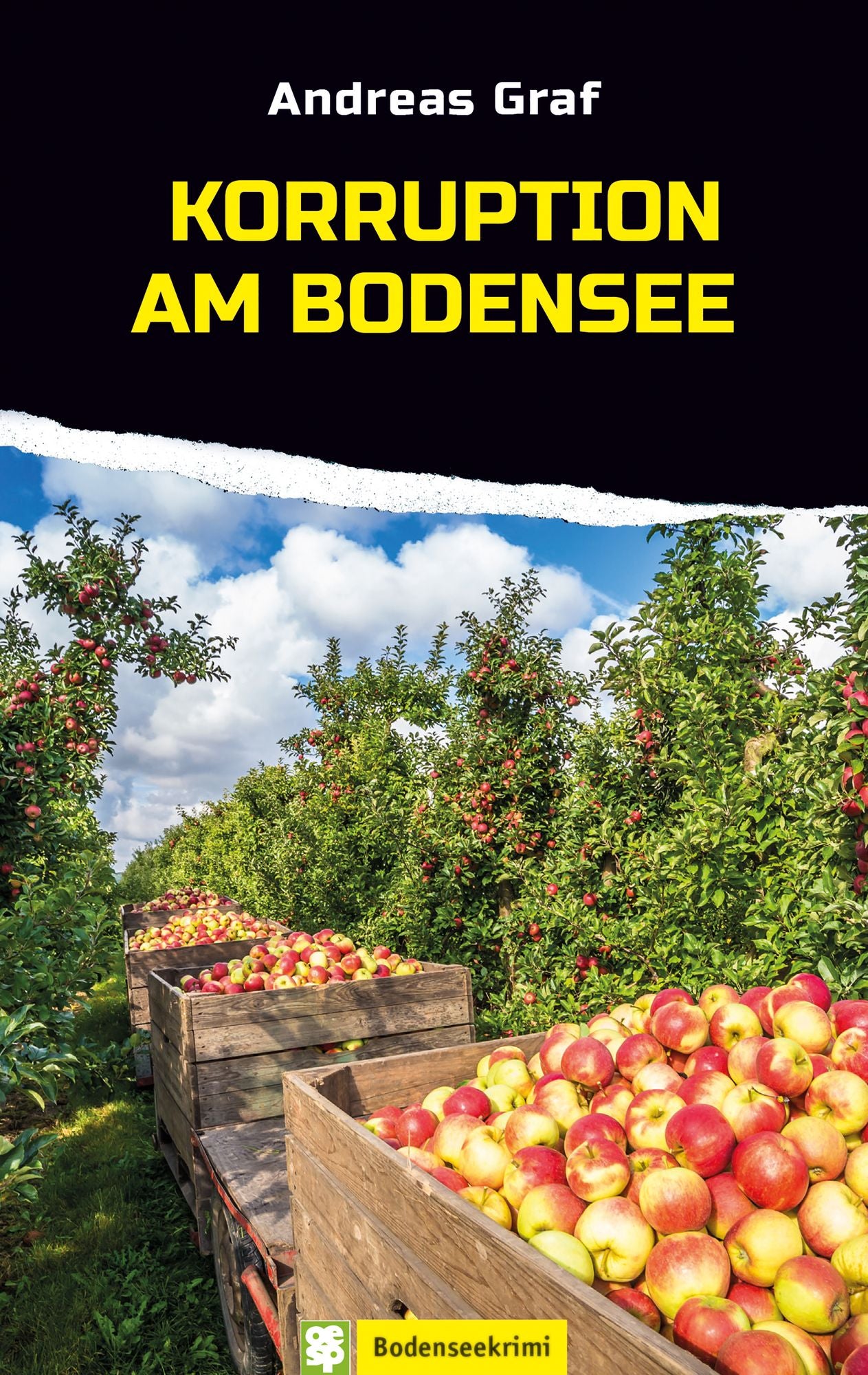 Korruption am Bodensee: Schwabenkrimi