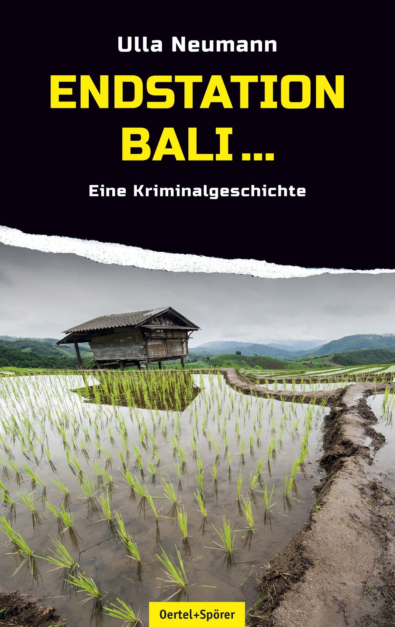 Endstation Bali: Eine Kriminalgeschichte