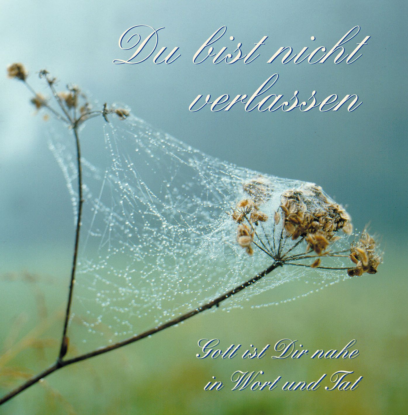 Du bist nicht verlassen: Gott ist Dir nahe in Wort und Tat