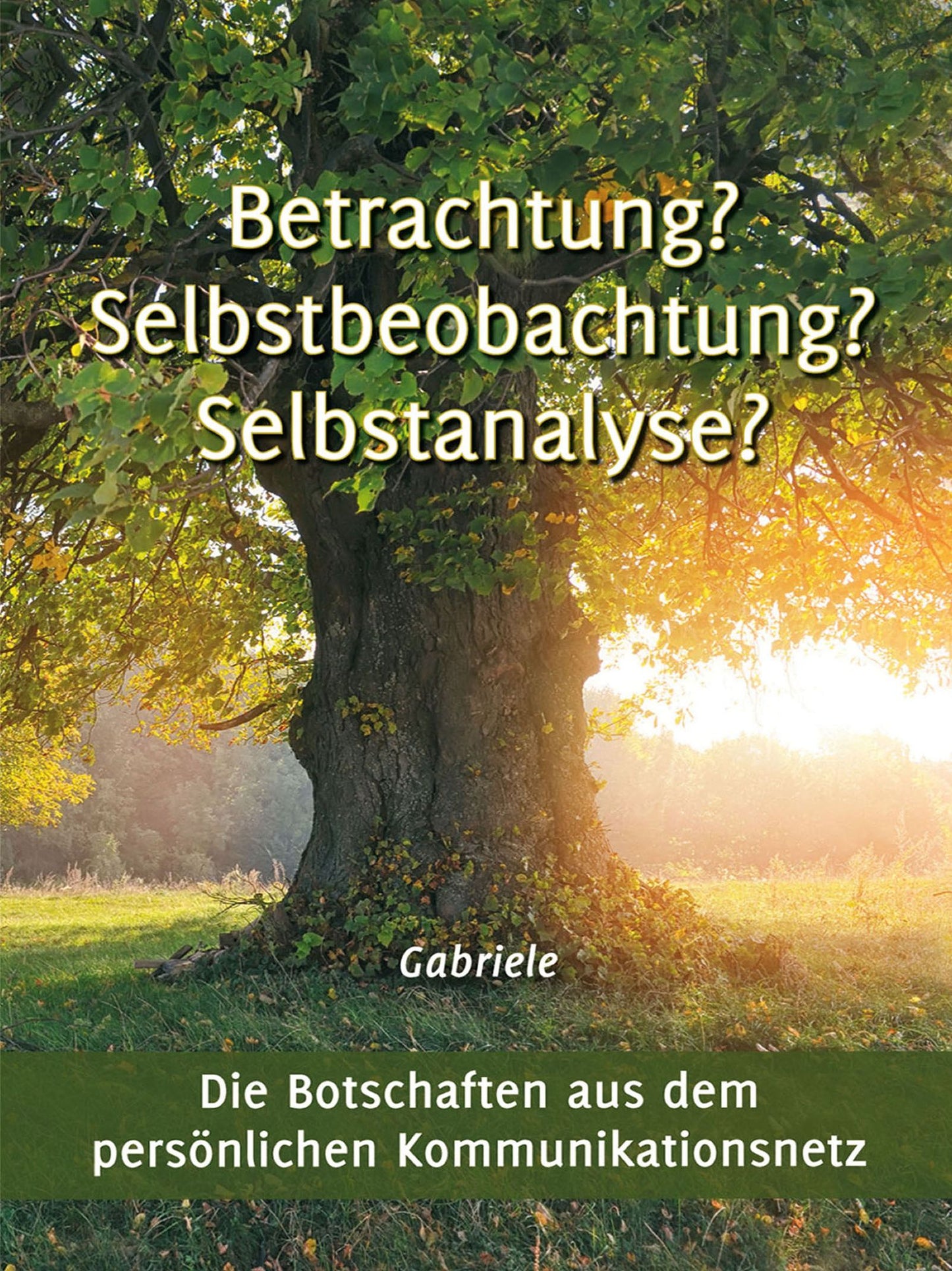 Betrachtung? Selbstbeobachtung? Selbstanalyse?: Die Botschaften aus dem persönlichen Kommunikationesnetz